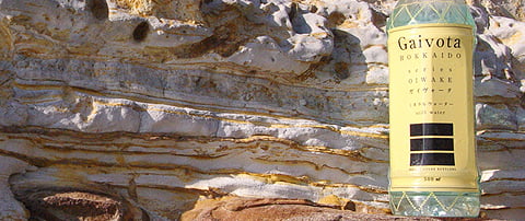 gaivota