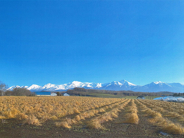 十勝岳連峰や富良野盆地の田園風景