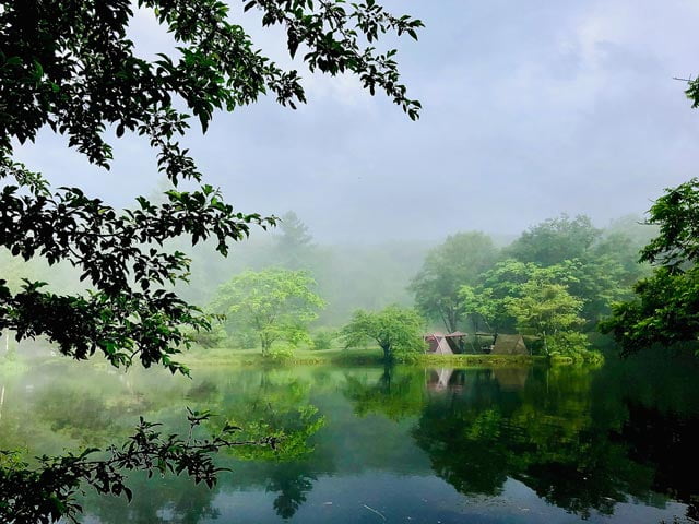 初夏の朝靄