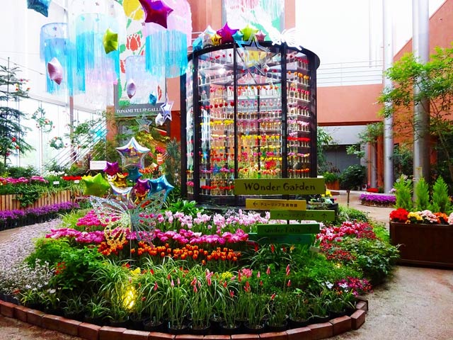 チューリップ四季彩館